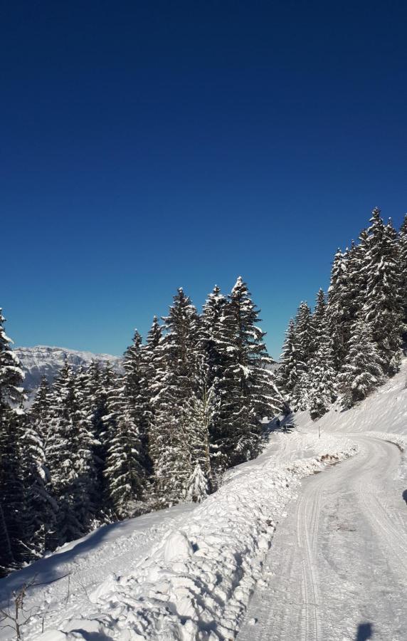 Vvf Les 7 Laux Massif De Belledonne Hotel Прапутел Екстериор снимка